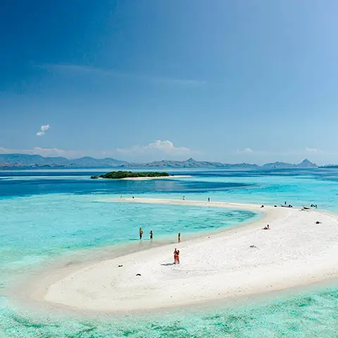 Manta Point / Taka Makassar