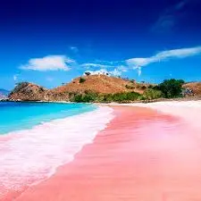 Pink Beach