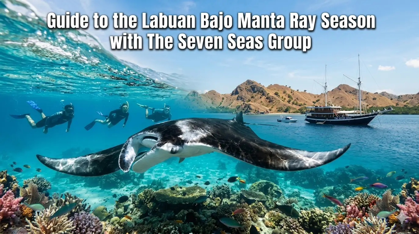 Guide to the Labuan Bajo Manta Ray Season with The Seven Seas Group