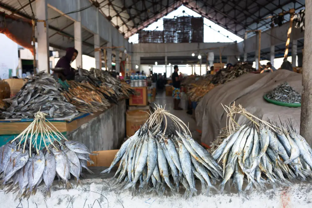 Labuan Bajo Fish Market Where You Can See the Real Coastal Life